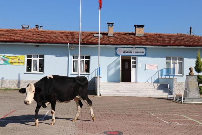 "VELLER TAKDR EDYOR"    Stl Yeniky lkokulu mdr Melih Demir, ?retmenimizle uzun yllardr birlikte almaktayz ve bu tr etkinlikleri srekli yapt iin tm veliler tarafndan takdir edilmektedir. Bugn yaplan etkinlik sayesinde rencilerimiz her gn okula gelme konusunda hevesliler. retmenimize yapm olduu bu etkinliklerden dolay teekkr ediyoruz, velilerde srekli bundan sonra hangi etkinlikler olacak diye soruyorlar? eklinde konutu.