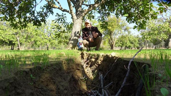 atlaklarn olutuu blgede inceleme yapan Germencik Doa ve evre Dernei Bakan Halil etinkaya, her gn ihbar aldklarn belirterek tehlikenin giderek bydn syledi.