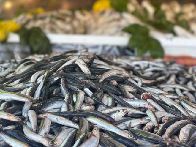 ''HAMSNN KLOSUNU 15 LRADAN SATIYORUZ''    Denizde hamsi ve istavrit bolluu yaandn vurgulayan Kl, "Hamsinin kilosunu 15 liradan satyoruz. nsanlar taze balk tketsin diye uygun fiyatl vermeye alyoruz'' diye konutu.