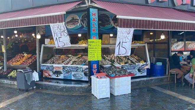 "NSANLAR PALAMUT ALAMIYOR"    Balk Onur Kl, palamutun denizde az olduunu belirterek, maliyetinin de yksek olduuna dikkat ekti.    Palamutun son gnlerde olta ile tutulduunu kaydeden Kl, "Maalesef palamutun maliyeti ok yksek. Bize tanesi 60-65 liradan geliyor. Bizde tazgaha koyduumuz da fiyat 80-85 liraya, hatta bazen 100 liraya kadar kyor. nsanlar bu durumda palamutu zor tketiyor, maalesef palamut alamyorlar" dedi.