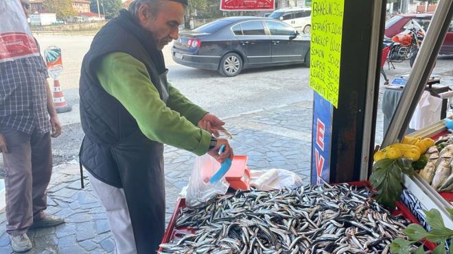Havalarn soumasyla birlikte Karadeniz'de hamsi ve istavrit bolluu yaanrken, palamut ise yok denecek kadar az bulunuyor.