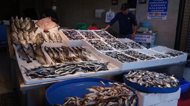 Karadenizli balklar, alarn denize brakmay srdryor. Geen yl az miktarda avlanan, sezonun byk blmnde ise av yasa getirilen hamsi bu sezon balklarn yzn gldryor.