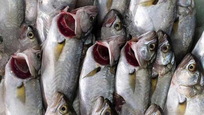 Balklar ya oranlar fazla olduu iin zgara, buharda ya da frnda piirmeyi tercih etmeliyiz. Yada piirilen balklarn ieriinde bulunan faydal ya asitleri en aza inmektedir. Yanna eklenecek olan salata veya sebze halamayla sebze+protein birlikteliini tamamlam oluruz" nerisinde bulundu