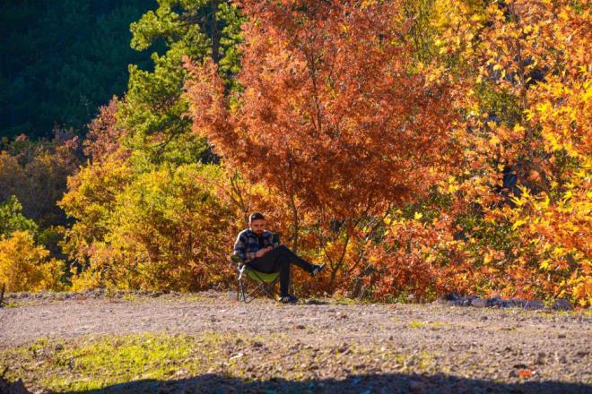 lenin drt bir yann kaplayan ormanlar sonbaharla birlikte seyirlik grntler olutu
