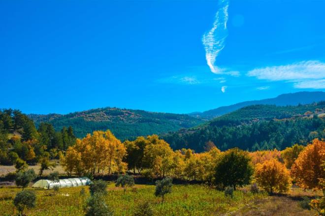 Sndrg'da sonbahar mevsimiyle aalardaki ve yerdeki yapraklar, renkli manzaralar oluturdu