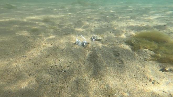 Bu konuda vatandalar duyarl olmaya davet eden Deniz "zmit Krfezi?nde hem deniz yzeyi temizlii yapyoruz hem de zaman zaman deniz dibindeki atklara ynelik  temizleme  almalar yrtyoruz. Bu almalarda denizden ok enteresan maddeler kmakta" dedi.