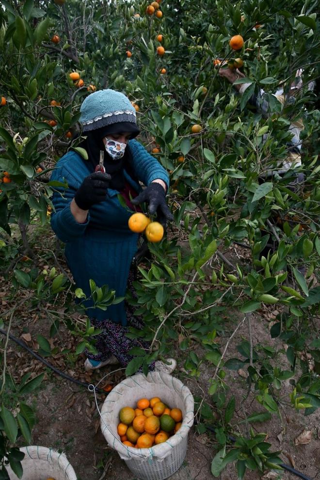 zen, Trkiye?de de susuzlukla mcadele ve nlemler anlamnda Bakanlk ve il mdrl nezdinde almalar yapldn ifade ederek, "Ciddi anlamda bir susuzlua doru gidiyoruz. zmir leinde 2020 ylna gre ok fazla etkilenmedik ama komu illerimiz Manisa, Aydn, Denizli ciddi ekilde kuraklkla mcadele ediyor ve derinden hissetmeye balad" dedi.