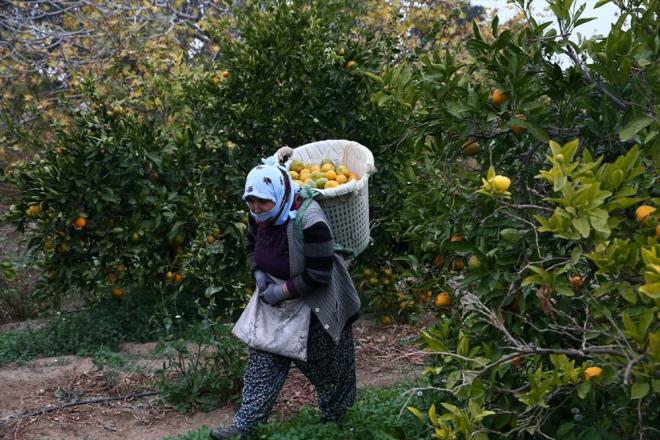zen, Bakanln basnl sulama sistemlerine verdii hibe desteini hatrlatt.