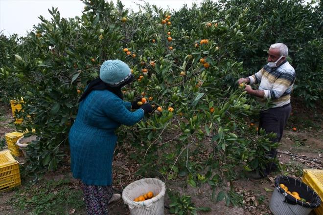 zmir Tarm ve Orman Mdr Mustafa zen, su varlnn tarm iin byk nem tadn, iklimsel deiikliinin dnya genelinde kendini hissettirdiini ve bu konuda nlemler alnmaya alldn aktard.