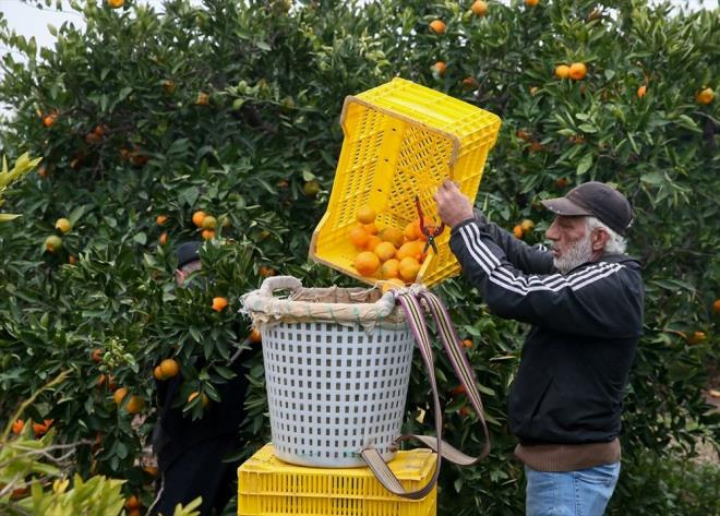 Karadeniz Blgesi, Marmara Blgesi?nin dousu ve Trakya?nn dou kesimleri ile Ardahan?da 125 gnn zerinde yal gn gerekleirken, Mersin, Gaziantep, anlurfa, Mardin, Diyarbakr ve rnak evrelerinde 60 gnn altna dt.