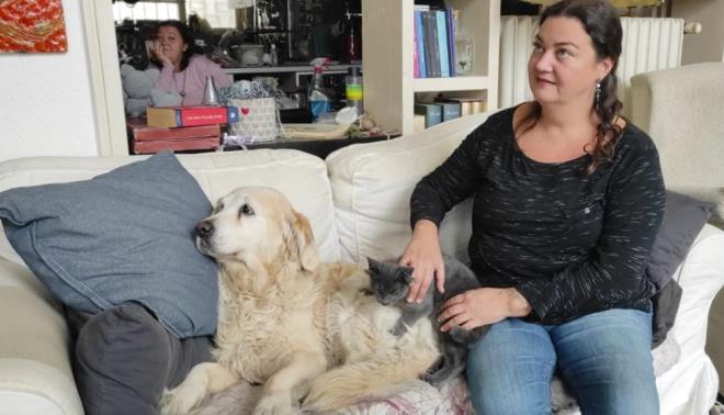 Genetik mutasyon sonucu 1 yerine 2 ift kula olan ve Midas ismi verilen kedi adna Instagram'da alan hesap, youn ilgi grd.