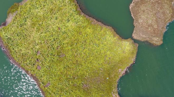 Yzen adalar iin iki aamal proje hazrladklarn kaydeden elikhan Kaymakam Abdullah Aslantrk, ?Projemiz iki aamadan olumaktadr. Birinci aamada yzen adalarmzn jeolojik yapsn en iyi ekilde koruyarak, kyya vurmasn nlemek ve bunu gelecek nesillere en iyi ekilde aktarmaktr. kinci aamada ise yzen adalarmz koruduktan sonra blgenin turizmine katk salama. Adyaman niversitesi retim yelerinden oluan bilim adamlarmzn incelemeleri ve talepleriyle dalglar tarafndan su alt fotoraflar ekildi. Dnyada yzen adalarn su altndan fotoraflama yaplan tek almadr. Bilim adamlarmz incelemeler ve aratrmalar sonrasnda ok nemli bilgilere ulat. 50 metre apnda, 4 metre derinlie sahip bir ada iinde bulunan organik karbonlar sayesinde atmosferdeki 11 ton karbondioksiti tutarak kresel iklim deiikliine kar kale grevi grmektedir? dedi.