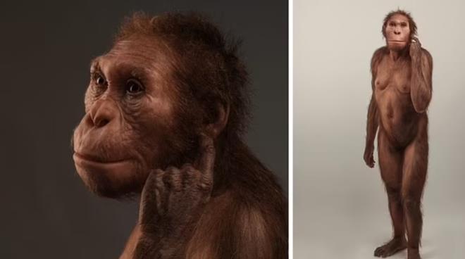 ABD?deki New York niversitesi ve Gney Afrika'daki, Witwatersrand niversitesi tarafndan yaplan alma, insansya ait fosilleri tamamlamak iin Gney Afrika'daki bir maarada bulunan kemikleri kulland.