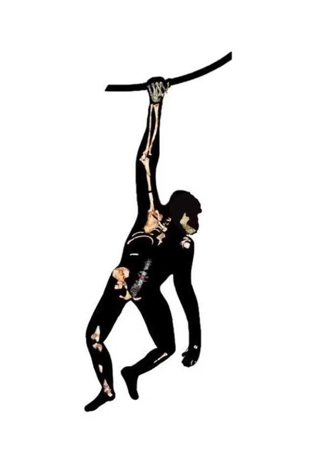 Bir kadna ait olduu belirlenen kalntlarn alt srtnda drt omur ve ayrca omurgay pelvise balayan sakrum ad verilen bir kemik ierdii belirtidi.