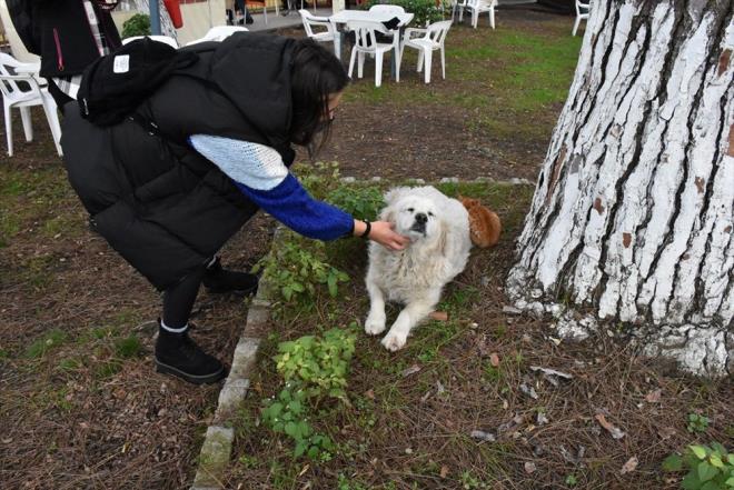 �l�ede d�zenlenen 3. Hamsi Festivali'ne gelen vatanda�lar, kedi ile k�pe�in bir arada yatmas�n� ve oynamas�n� g�r�nce �ok �a��rd�lar.