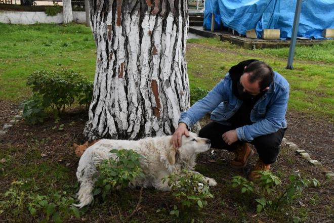 �ay bah�esi �al��an� Bulut Gen� sokaktayken sahiplendikleri k�pe�e 7 y�ld�r bakt�klar�n�, ad�n� da Pamuk koyduklar�n� s�yledi.