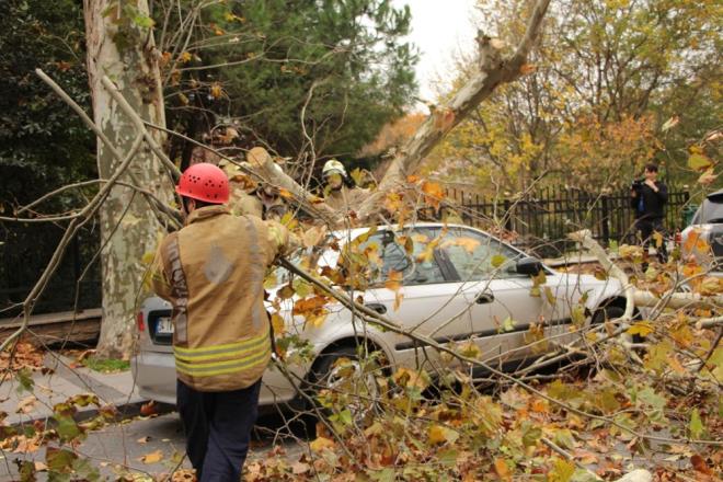 Saray Caddesi zerinde bulunan asrlk nar aac park halindeki otomobilin zerine devrildi. Byk bir grltyle yola devrilen aa, itfaiye ekipleri tarafndan kesilerek kaldrld. Devrilen aacn altnda kalan otomobilde hasar meydana geldi.