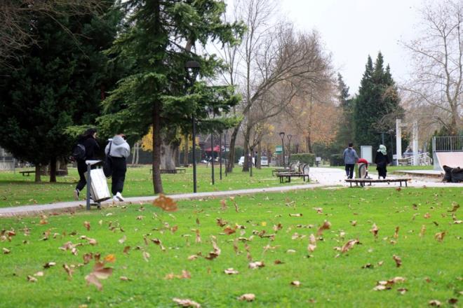 Farkl kentlerde sabah saatleri itibariyle etkisini gstermeye balayan lodosla, aalardaki yapraklar caddelere savruldu.