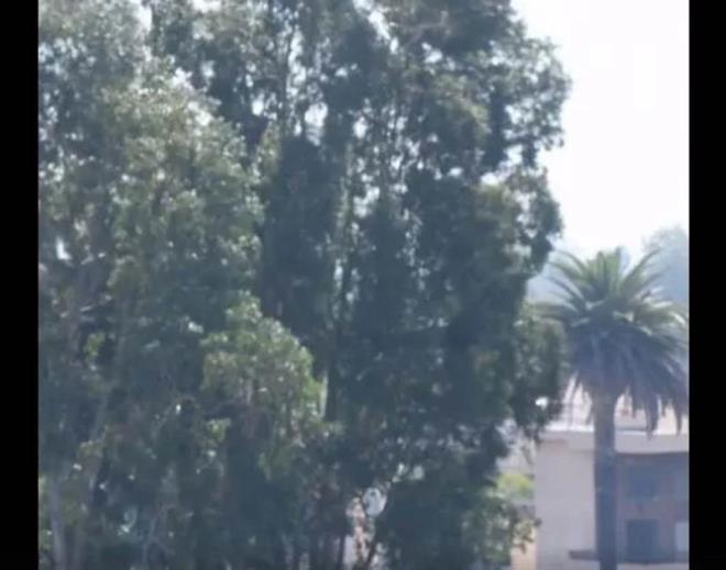 Cam izmeden tm lekelerden kurtulacaksnz