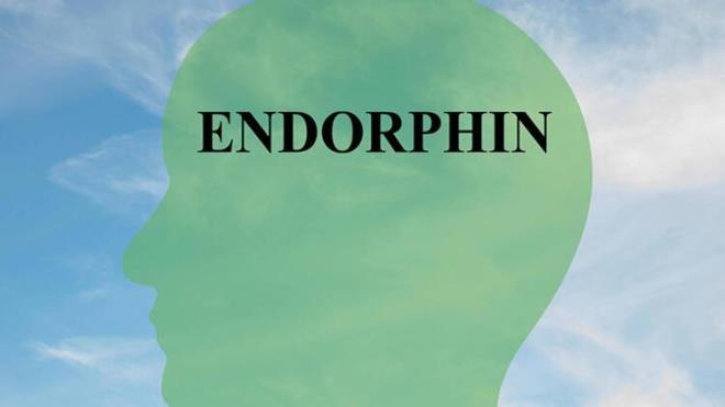 Endorfinler ruh halini deitiren etkileriyle tannrlar. Acy, ary, stresi azaltmann yan sra neelenmemize de yardmc olurlar. Pek ok insan endorfin ve egzersiz arasndaki balanty bilir. Endorfinleri en fazla uyaran ey aktivitelerdir.