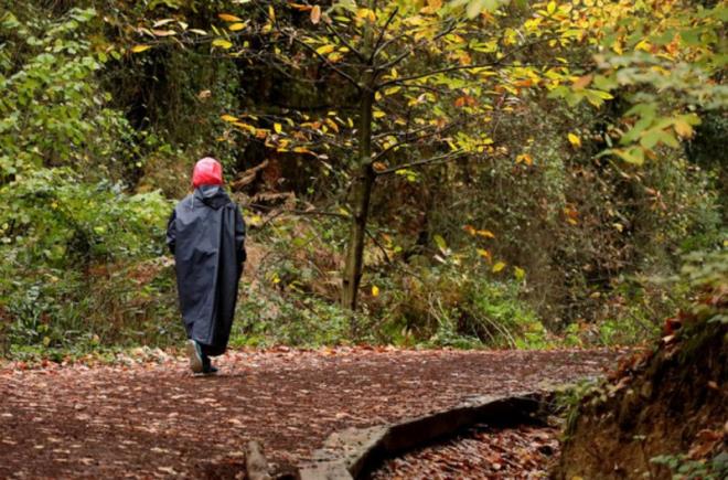 Beykoz, Polonezky Tabiat Park<br>    ehir kalabalndan uzaklamak isteyenlerin kaamak yapt tabiat park, huzurlu bir yry parkuruyla tannyor. 5 kilometreye uzanan parkurda, aalarn salad glge sayesinde scaktan etkilenmeden keyifli bir yry yapmak mmkn.