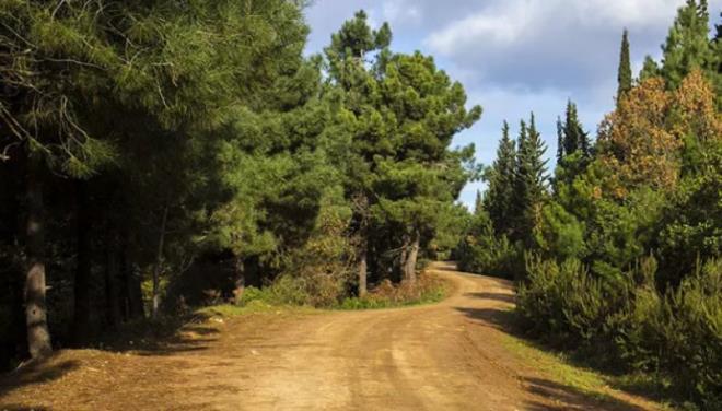 Kartal, Aydos Orman<br>    Stresten uzaklap bol oksijen almak isteyenlerin kaamak yapt adres ise Aydos. Ormana giri yaptktan 5 kilometre sonra Aydos Gl'ne ulamak mmkn. Keyifli bir yry parkuruna sahip olan orman, gl kenarnda huzurla kahve ime imkan da sunuyor.
