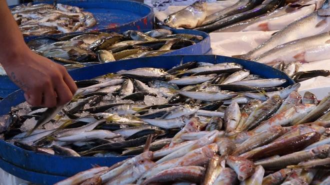 Tezgahlarda istavrit 15 TL, lfer 70 TL, kalkan 200 TL, alabalk 50 TL, inekop 60 TL, mezgit ise 40 ile 65 TL arasnda fiyata satlyor.