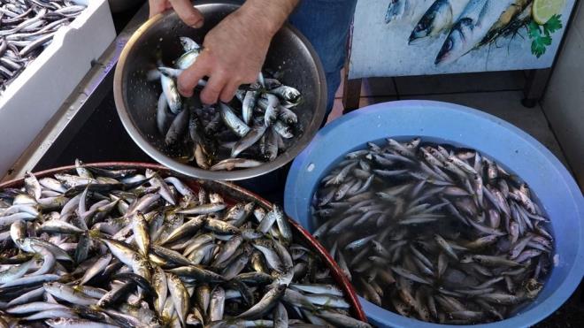 ''HAMS YAVA YAVA BZ TERK EDYOR''  <br>  Deniz suyunun soumadn belirten balk Gkmen Aydn, ?Hamsi yava yava azalmaya balad. Havalar mevsime gre biraz scak. Deniz de bir trl soumad. Balk soua kamaya balad. Hamsi yava yava bizi terk ediyor. Hal byle olunca da fiyat ykseldi. Eskiden 10 TL'ye satyorduk imdi hamsi fiyat tezgahlarda 40 TL'ye kadar kyor'' diye konutu.