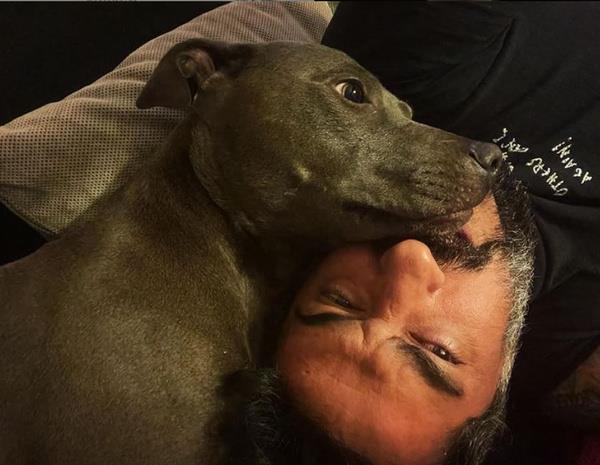 Kimi sosyal medya kullancs bu kriterler ve alma younluunun gz nne alndnda maa az buldu, kimisi de Trkiye'deki maa ortalamasna gre iyi bir maa olduunu ifade etti. Sonu olarak Celil Nalakan'n alanna sunduu maa hem eletirildi hem desteklendi.