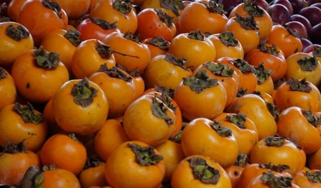 lkenin Kashihara kentindeki Nara Tp niversitesi'nden bir aratrma grubu, hamsterlar zerinde yaplan deneylerin Trabzon hurmasndan elde edilen tanen maddesinin Covid-19'dan enfekte olma veya ciddi semptomlar gelitirme ihtimalini drdn ortaya koydu.