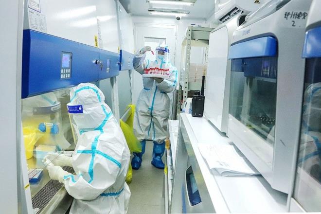 Bununla birlikte, Dr. Chan?n aklamalarnn ardndan, in?in corona virsn doadan geldiine dair iddialarn sorgulamas iin Birleik Krallk hkmetine bask yapmas bekleniyor. Ayrca, in Devlet Bakan Xi Jinping'in Dnya Salk rgt (DS) ilikisi hakknda aratrma talep edilmesi de beklenen gelimeler arasnda yer alyor.