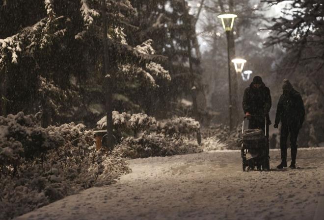 Baz vatandalar, Botanik Park'ta yryerek kar yann tadn kard.