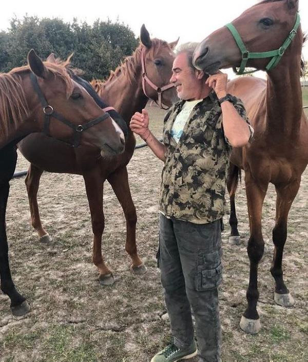Ac haberi duyuran ynetim kurulu yesi olduu Trkiye Jokey Kulb "Faruk Tnaz' kaybetmi olmann derin znts ierisindeyiz. Merhuma Allah'tan rahmet, bata kederli ailesi olmak zere yaknlarna ve atlk camiamza basal dileriz" dedi.