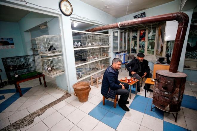 Batmaz, hasta olan gvercinleri tedavi ettirdiklerini, veteriner hekimlerin ynlendirmesiyle en iyi bakm yapmaya altklarn kaydetti.