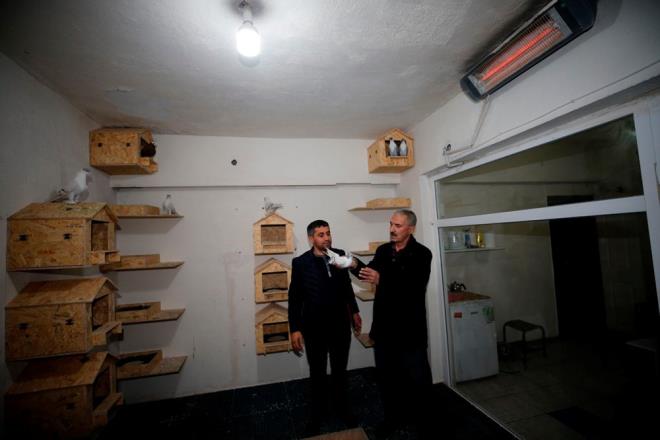 Souk k gnlerinde gvercinlerine scak ve konforlu bir ortamda barnma imkan sunmak isteyenler, elektrik ve odun sobas ile stlan, fndk, fstk ve bademin yan sra onlarca eit yem imkan sunulan 3 bloklu Gvercin Oteli'ni tercih ediyor.