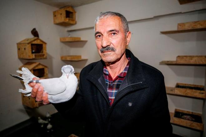 73 yandaki hsan Keleki ise 13 yandan beri gvercin meraknn olduunu, 60 yldr gvercin beslediini syledi.    Balarda evlerinin avlusundaki kmeste gvercin yetitirdiini belirten Keleki, u an ise buna uygun yeri olmad iin gvercinleri otele getirdiini aktard.    Keleki, gvercin sevdasnn ok farkl bir duygu olduunu kaydederek, "Gvercin beslemek iin iki katl baheli ev yapmtm. Evimin evresinde binalar ykseldii iin apartmana getim. Apartmanda gvercin beslememe msaade etmedikleri iin Gvercin Oteli'nde yer tuttum ve burada merakm gideriyorum. Burada soba yakyor, gvercinlerin tm ihtiyalarn gideriyoruz. Kular beni ayakta tutuyor, gnmn nasl getiini anlamyorum. Gvercinlerim burada olduu iin gzm arkada kalmyor." eklinde konutu.