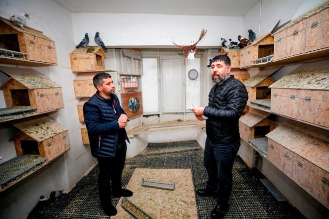 Toplam 100 odadan oluan ve 24 saat kamera sistemi ve bekiyle korunan otel, k aylarnda gvercin merakllarnn vazgeilmezi haline geldi.