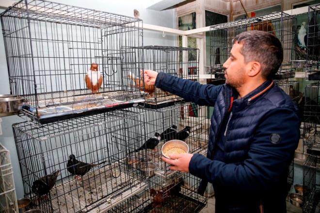 Gvercinlere salk hizmeti de sunduklarn anlatan Batmaz, k aylarnda gvercinlerin ok fazla hastalandn, hayvanlarn snmas ve bakmlarnn en iyi ekilde yaplmas gerektiini aktard.