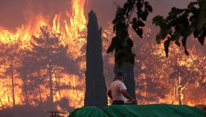 BROK LDE ORMAN YANGINI YAANDI  <br>  Temmuz  <br>  -Antalya'nn Manavgat ilesi Yeniky Mahallesi ile Alanya ve Gndomu, Adana, Mersin, Mula'nn Marmaris, Milas ve Kyceiz ilelerindeki ormanlk alanlarda kan yangnlar temmuz ayna damgasn vurdu.