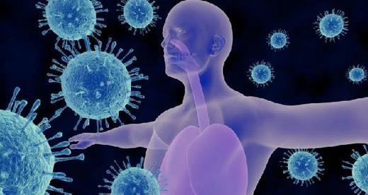 Scripps Research'te biyoloji profesr olan kdemli yazar Andrew Ward, yeni bulular iin, "Bir virs zerinde yeni bir gvenlik a blgesi kefetmek her zaman ok heyecan verici. nk bu rasyonel a tasarmnn nn ayor ve bunca yldr grip as zerindeki abalara ramen hala kefedilecek yeni bir eyler olduunu gsteriyor" dedi.