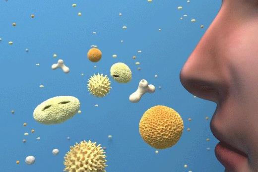 Yeni evrensel grip as u anda erken klinik denemelerde, fareler zerinde denenen a  farkl virsnn neden olduu enfeksiyona kar gl koruma salad.