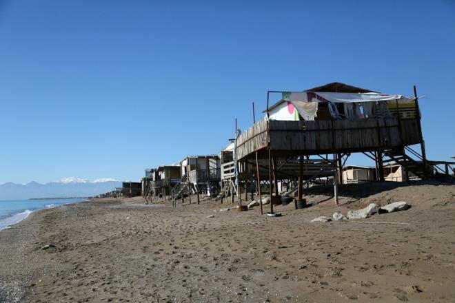 EKAD Bakan Hacettepe niversitesi'nden Dr. Ali Fuat Canbolat, Kumky sahilinde 2021 sezonunda 178 yuva belirlediklerini ve yuva younluunun kilometre bana 148,3 olduunu aklad.    Bu orann caretta carettalar iin ok uygun kumul yapsna sahip olmas nedeniyle yksek olduuna iaret eden Dr. Canbolat, buradaki youn insan faaliyetleri yznden yumurtalarn yzde 56.9'unun bozuk ktna dikkat ekti.