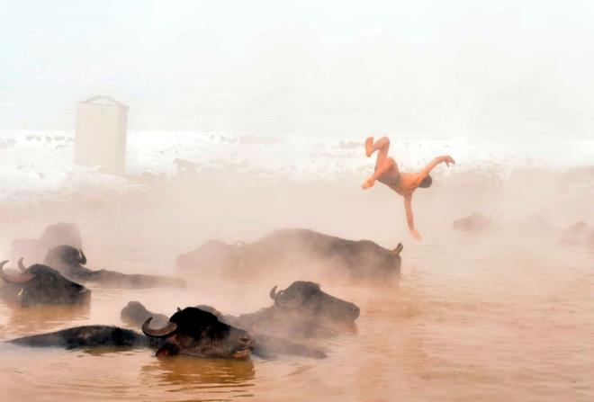 Bitlis''te Nemrut Da eteklerindeki Budakl Kaplcas, zellikle k aylarnda mandalarla doluyor. Blgede yaayan yetitiriciler, sk sk mandalarn scak suya getiriyor.