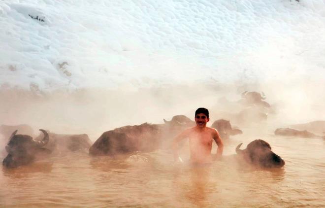 Tren, k aylarnda haftann en az 2 gn mandalarn scak suya getirdiini, hem temizlendiklerini hem de stres attklar iin st verimlerinin arttn belirtti.