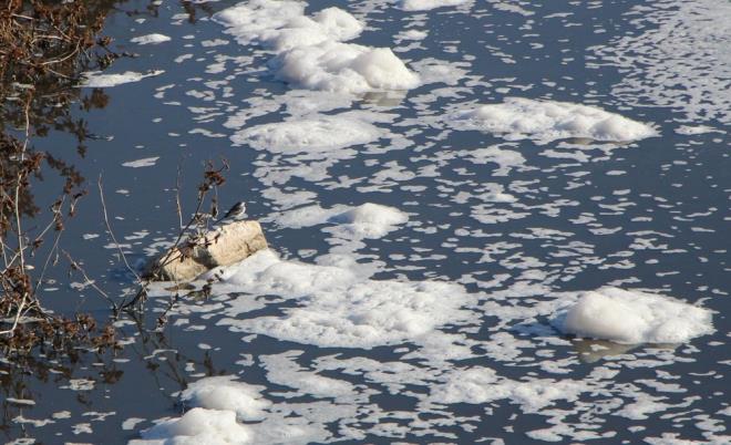 "FABRKA YIKANDII N BRKA AY BOYUNCA BYLE AKIYOR"    Boazky Mahallesi'nde yaayan 74 yandaki Hseyin at, kirliliin nlenmesini istediini belirterek, ?50 yldr bu dere byle akyor. Fabrika ykand iin birka ay boyunca byle akyor. uras prl prl olsa sevinmez miyim. Trkiye?ye yakmayan bir durum bu? dedi.