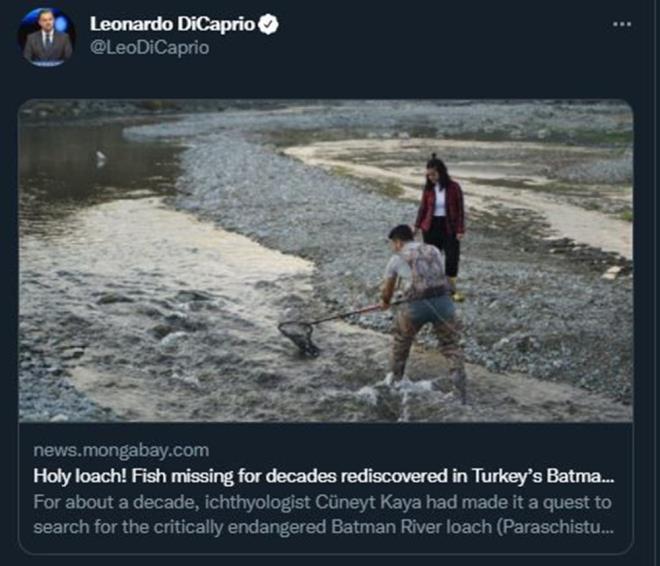 ABD'li aktr Leonardo DiCaprio da Sason ilesinde tespit edilen balk ile ilgili haberi takipileriyle paylat.