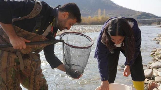 Dnya Doay ve Doal Kaynaklar Koruma Birlii (IUCN) tarafndan krmz listeye alnarak neslinin tkendiine inanlan, Shoal adl Doa Koruma rgt'nce dnyann en ok aranan 10 balk tr arasnda yer alan Batman Bantl p Bal'n tespit ettiklerini ifade eden Do. Dr. Kaya, Aratrma Grevlisi Dr. Mnevver Oral ile Sarm Deresi ve Sason ay'ndaki arazi almalarnda bu bala rastladklarn aktard.