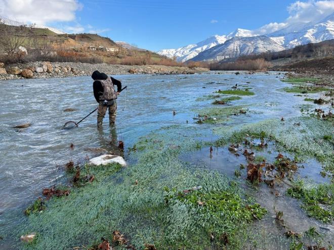 te yandan ngiltere'deki Kew Kraliyet Botanik Baheleri'nde grev yapan bilim insanlar, yamur ormanlarnn korunmas zerine arlarda bulunan nl oyuncu Leonardo DiCaprio'nun evre yanls almalar nedeniyle nesli tkenmek zere olan bir aa trne Leo ismini vermeye karar verdi.