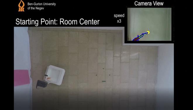 KEND BAINA GEZNTYE IKTI    Bir bilgisayar bilimcisi ve sinirbilim aratrmacs olan almann ortak yazar Ohad Ben-Shahar ise balklarn belirlenen hedeflere ulamasnn yan sra, binada gezintiye ktklarn ekledi. Ben-Shahar, ?Bir Japon balnn tm binada kontrolmz olmadan gezinti yapmasna izin verdik ve etraf kefetmeye baladn grdk. Koridorlardan birine girdi ve gizlice kamaya balad? dedi.