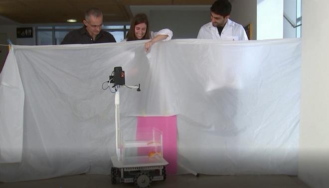 Bununla birlikte aratrmaya, her biri yaklak 10 sr dersi alan alt Japon bal katld. Balklar, aratrmaclar tarafndan belirlenen bir hedefe ulatnda, mamayla dllendirildi.